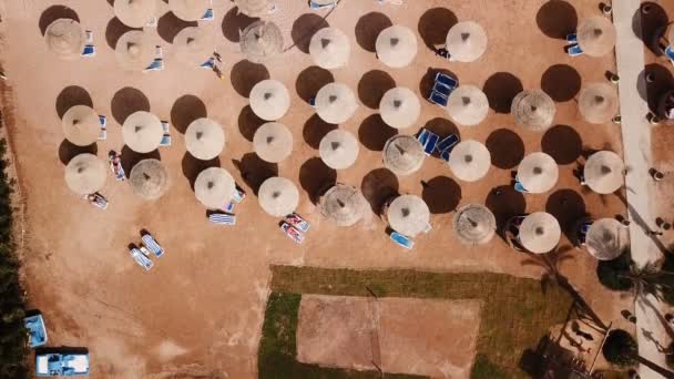 Umbrellas, deck chairs and tourists relaxing on the beach. Aerial top view. — Stock Video