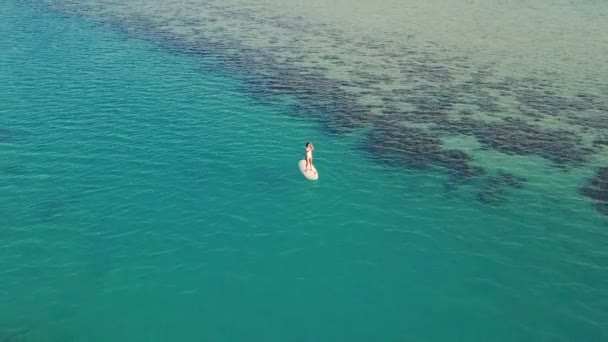 Luftaufnahme eines jungen Mädchens Stand Up Paddling im Urlaub. Kamerafahrt einer jungen Frau beim Boarding — Stockvideo