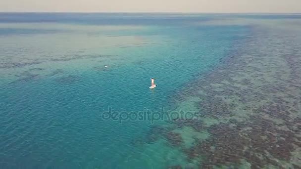 Vista aérea da menina levantar-se remando em férias. Rastreamento tiro de uma jovem mulher SUP embarque — Vídeo de Stock