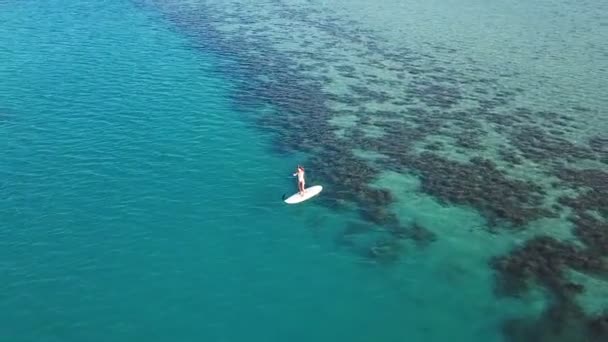 Flygfoto över ung flicka stå upp paddling på semester. Spårning skott av en ung kvinna Sup ombordstigning — Stockvideo