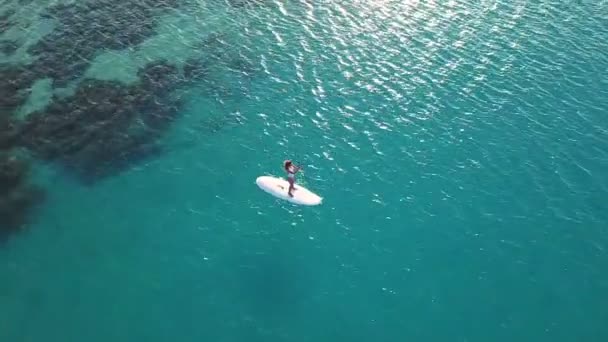 Vue aérienne de la jeune fille debout pagayant en vacances. Plan de suivi d'une jeune femme embarquement SUP — Video