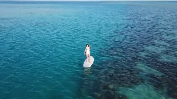 Flygfoto över ung flicka stå upp paddling på semester. Spårning skott av en ung kvinna Sup ombordstigning — Stockvideo