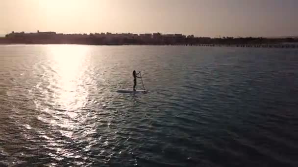 Luftaufnahme eines jungen Mädchens Stand Up Paddling im Urlaub. Kamerafahrt einer jungen Frau beim Boarding — Stockvideo