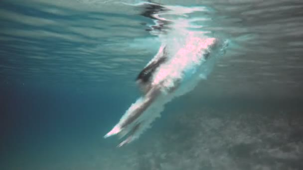 Женщина в синем купальнике плавает под водой в замедленной съемке — стоковое видео