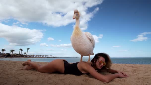 Samspelet mellan en flicka med djur och fåglar på stranden med blå vatten — Stockvideo