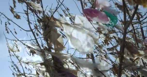 Plastic trash on the branches of trees. Plastic pollution of the planet. Closeup. — Stock Video