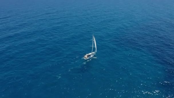 Hava görüntüsü. Açık denizde beyaz yelkenli yelkenli yatlar. — Stok video