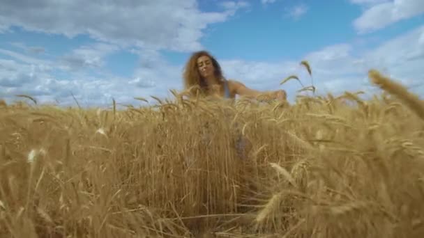 Meisje zit in een tarweveld en knuffelt tarwe oren zorgvuldig. — Stockvideo