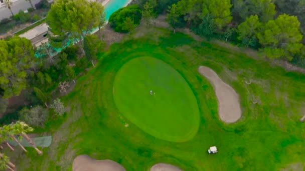 Αεροφωτογραφία. Όμορφη θέα του γηπέδου γκολφ κοιτάζοντας κάτω. — Αρχείο Βίντεο