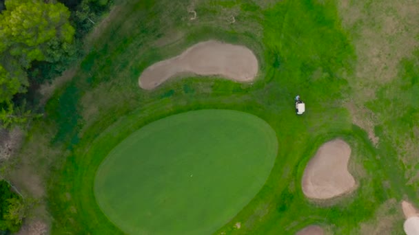 Vista aérea. Golfista en un campo verde vibrante . — Vídeos de Stock