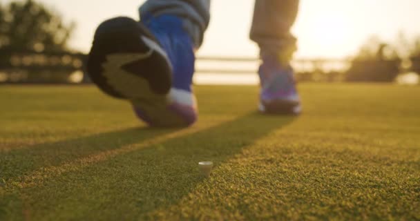 Το Golfer τοποθέτηση μπάλα του γκολφ στην ΤΕΕ στο γήπεδο του γκολφ. — Αρχείο Βίντεο