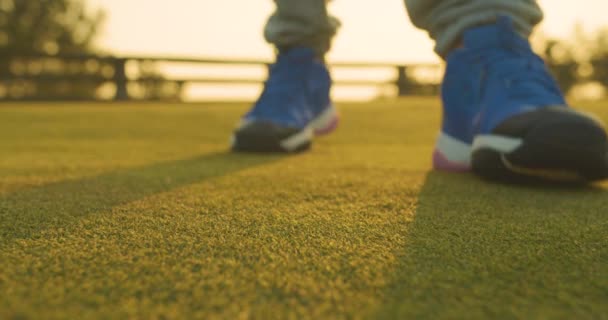 Το Golfer τοποθέτηση μπάλα του γκολφ στην ΤΕΕ στο γήπεδο του γκολφ. — Αρχείο Βίντεο