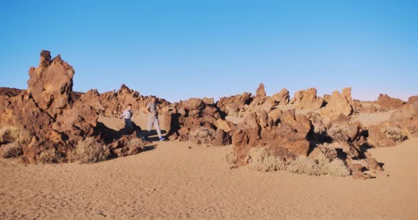 Man with chld walking on on sunny day at national park in Tenerife, Spain. — Stockvideo