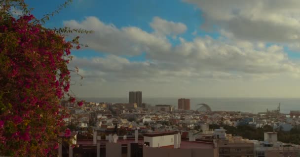 Zaman ayarlı. Santa Cruz de Tenerife: Atlantik 'in ortasındaki şehir manzarası: dağlar, yeşil parklar, okyanus. — Stok video