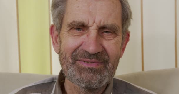 Hombre canoso sonriendo a la cámara. Retrato de un jubilado feliz posando en el interior. Alegría, estilo de vida, pensiones, jubilaciones . — Vídeos de Stock