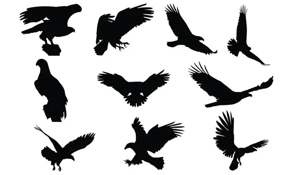 Calvo águila silueta vector ilustración — Vector de stock