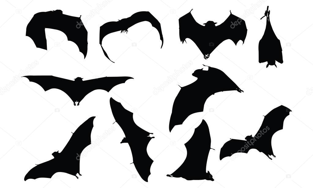 Bat Silhouette vector illustration — Stock Vector
