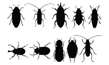 Böceği siluet vektör çizim