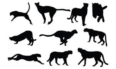 Cheetah siluet vektör çizim