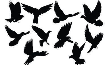 Güvercin siluet vektör çizim