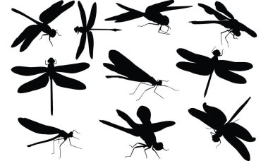 Dragon fly siluet vektör çizim