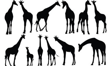 Zürafa siluet vektör çizim
