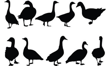 Siluet vektör çizim kaz