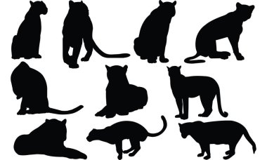 Jaguar siluet vektör çizim