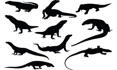 Komodo Dragon siluet vektör çizim