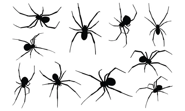 Viúva negra aranha silhueta vetor ilustração — Vetor de Stock
