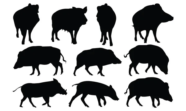 Boar Silhouette vector illustration — Stock Vector