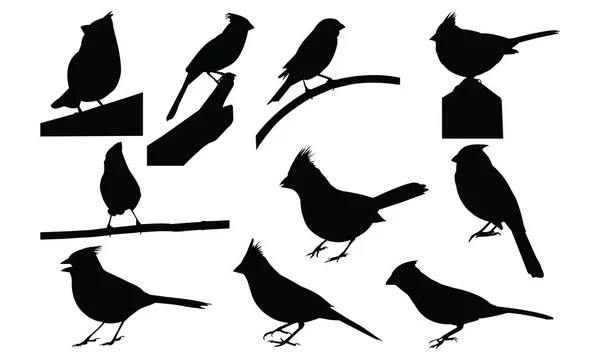 Illustration vectorielle Cardinal Silhouette — Image vectorielle