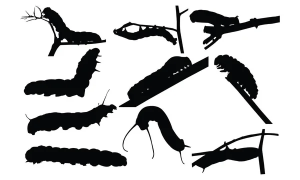 Caterpillar silhouet vectorillustratie — Stockvector