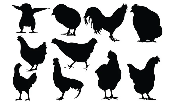 Illustration vectorielle Silhouette de poulet — Image vectorielle