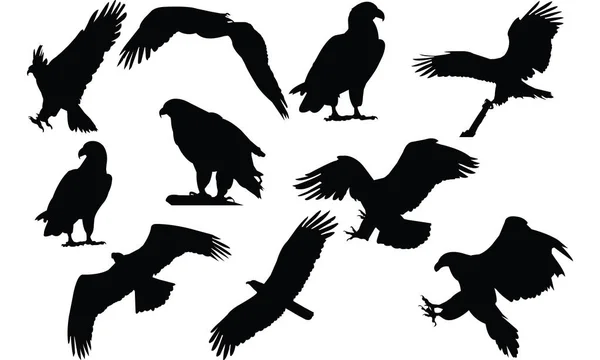 Eagle silhouet vectorillustratie — Stockvector