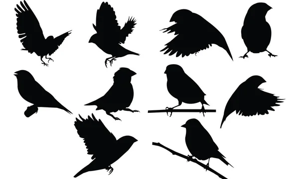 Finch Silhouette vector ilustración — Vector de stock