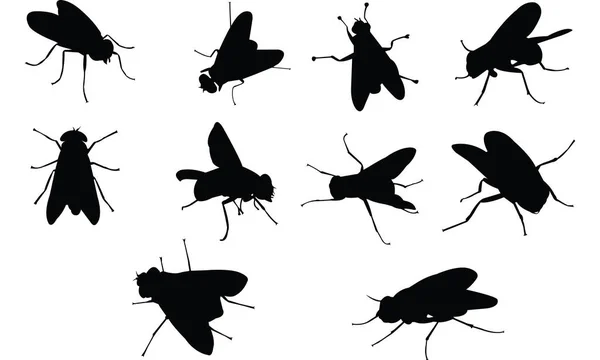 Fliege Silhouette Vektor Illustration — Stockvektor