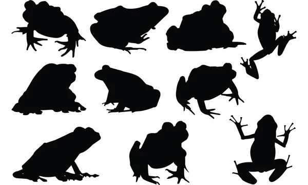 Frog silhuett vektorillustration — Stock vektor