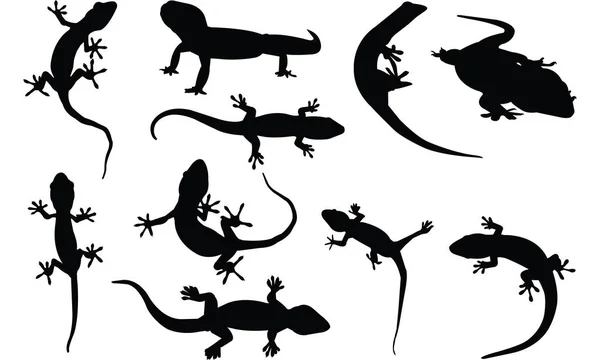 Gecko Silhouette เวกเตอร์ภาพ — ภาพเวกเตอร์สต็อก