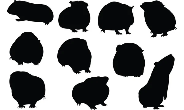 Guinea pig Silhouette vector illustration — Stock Vector