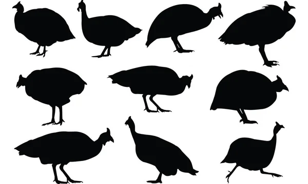 Guinea aves silueta vector ilustración — Vector de stock