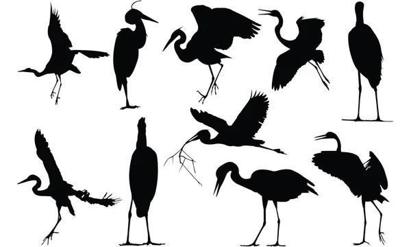 Herron Silhouette vector ilustración — Vector de stock