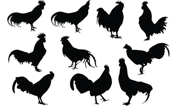 Illustration vectorielle silhouette Junglefowl — Image vectorielle