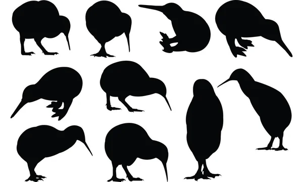 Kiwi Silhouette ilustração vetorial — Vetor de Stock