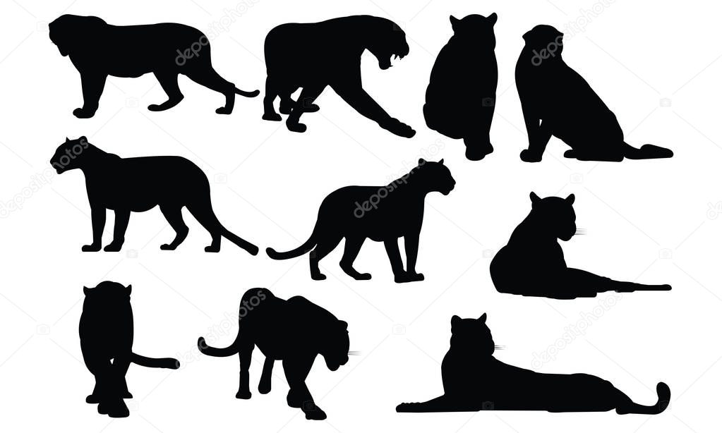 Black panther Silhouette vector illustration