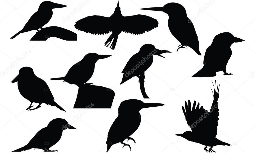Kingfisher Silhouette vector illustration