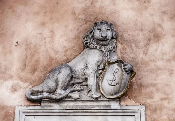 Lion polonais et bouclier — Photo