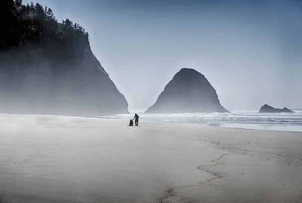 Playa en Arch Cape — Foto de Stock