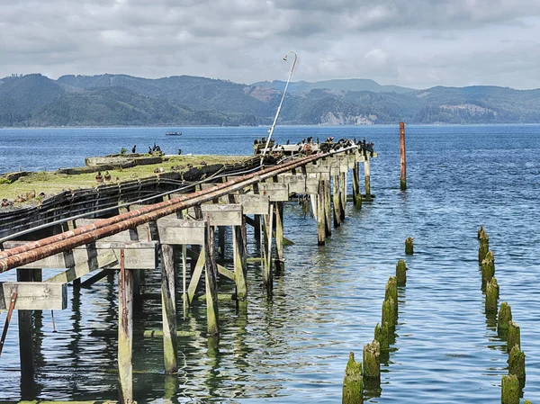 Muelle de pesca en el río Columbia —  Fotos de Stock