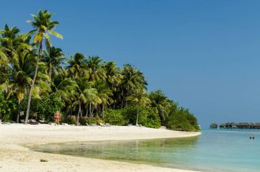 Maldivler - Kasım, 2017: Blue Lagoon, Hint Okyanusu. Tatil hedef